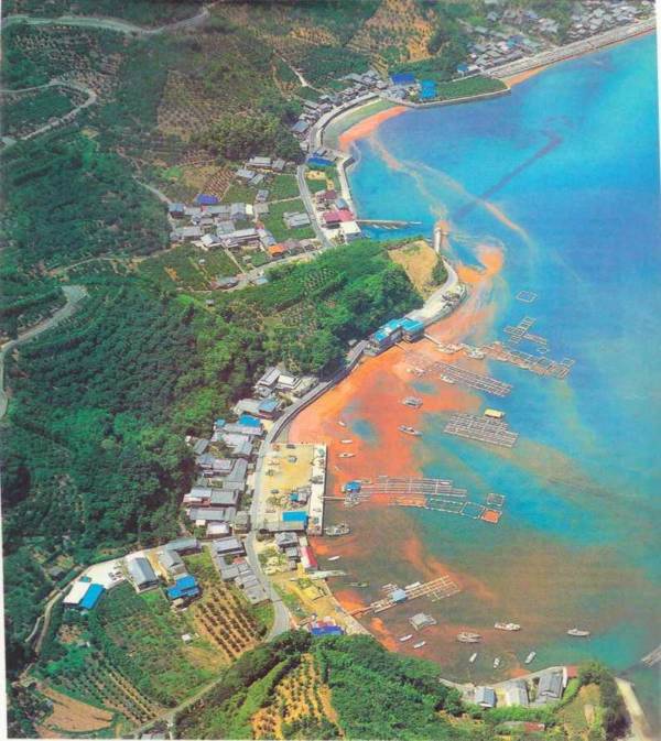 Red Tide