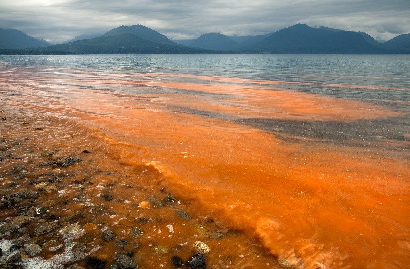 Red Tides