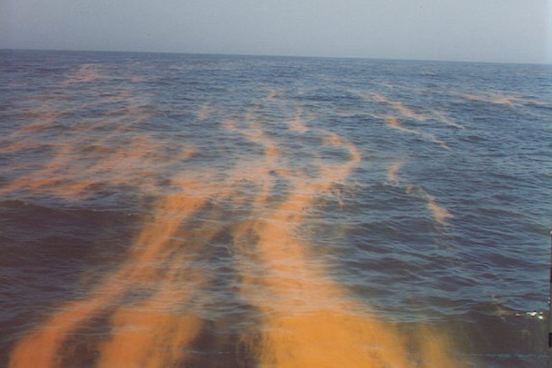 Tide Red