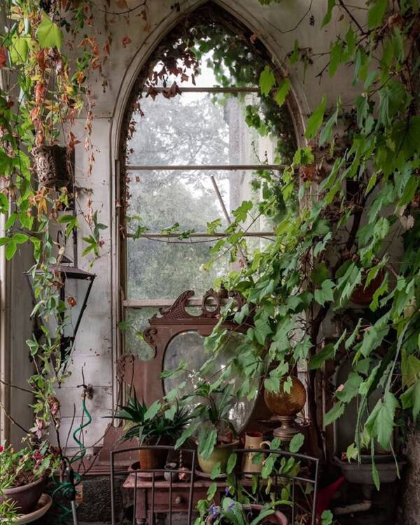 Castle Window