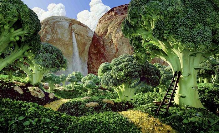 Food Art Carl Warner Broccoli