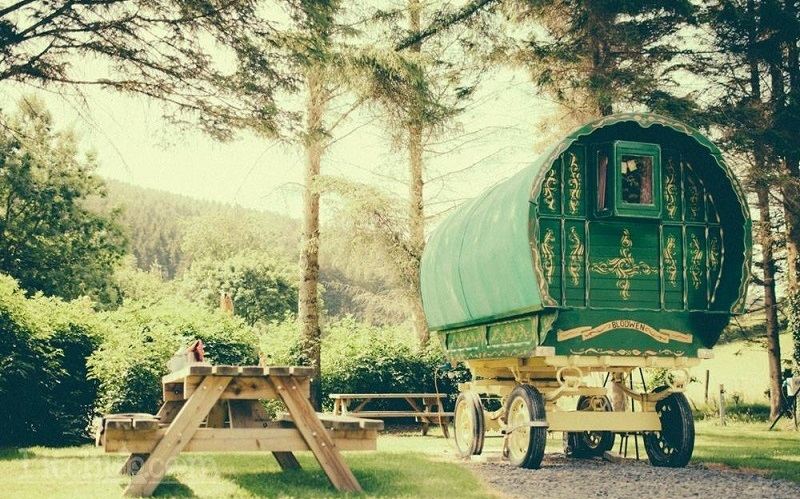 Gypsy Caravans Wishingwood
