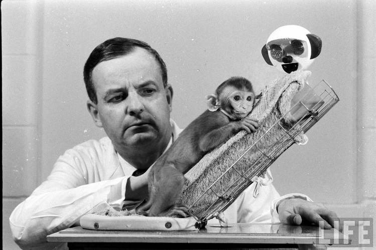 WTF Science Experiments Harry Harlow