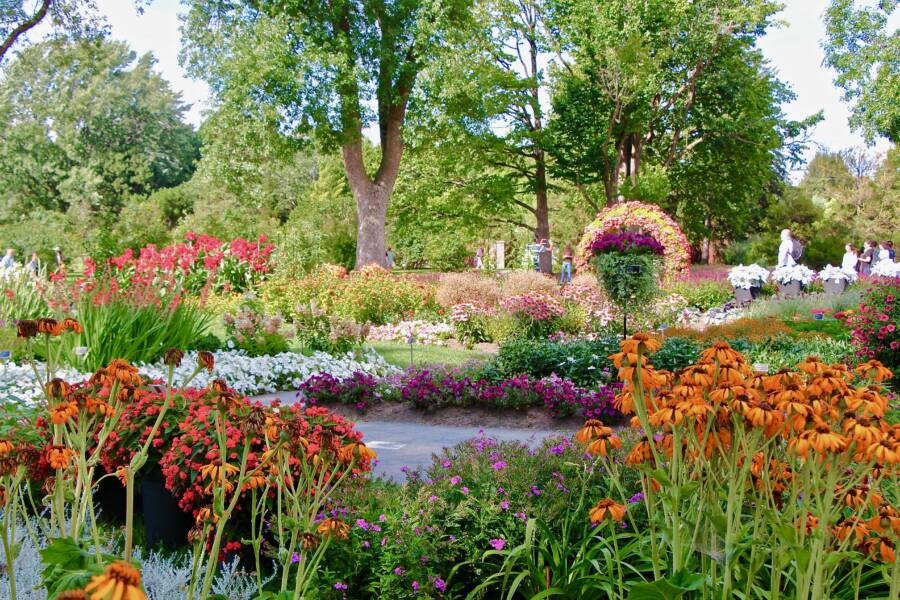 Garden Of Innovations