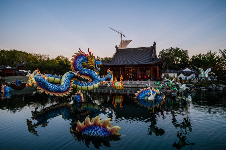 Japanese Dragon Canada