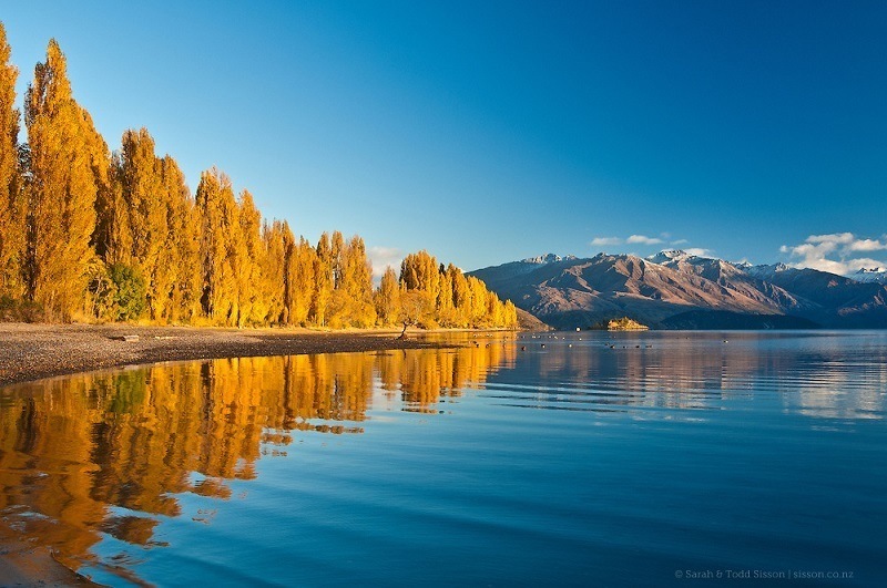 Fall in New Zealand