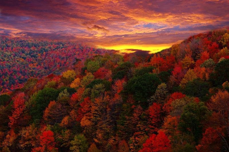 Colorful Fall Photos at Sunset