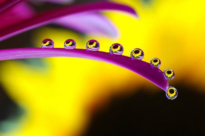 Beautiful Water Droplets Up Close