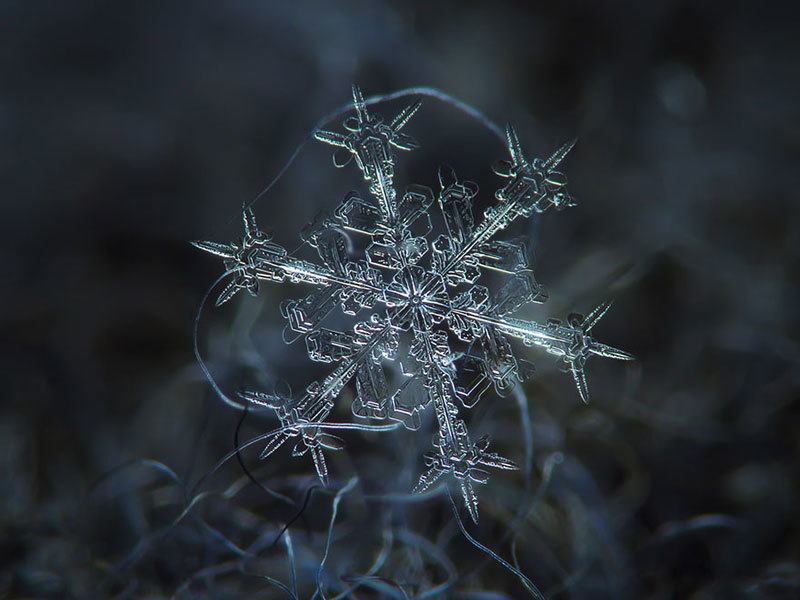 Snowflake in Detail