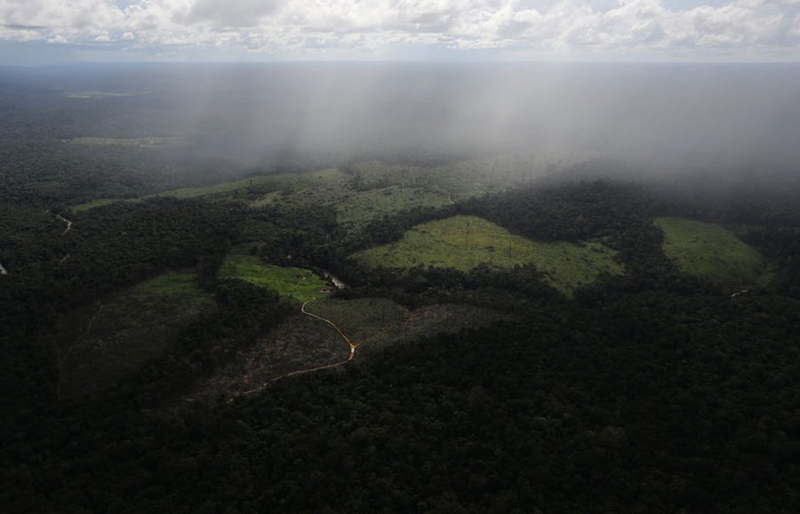 Disappearing Amazon Clearing
