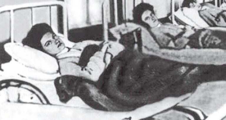 Typhoid Mary In Bed