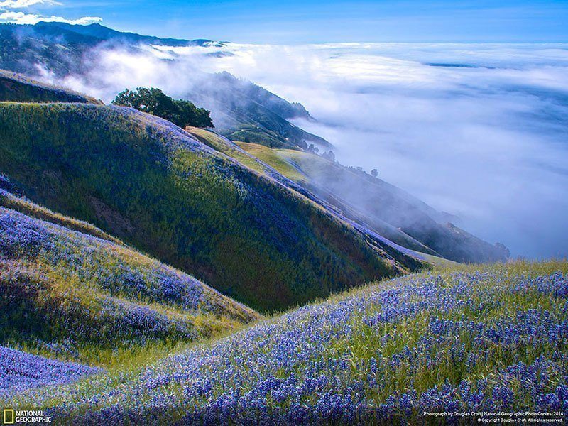Big Sur Landscape Photography