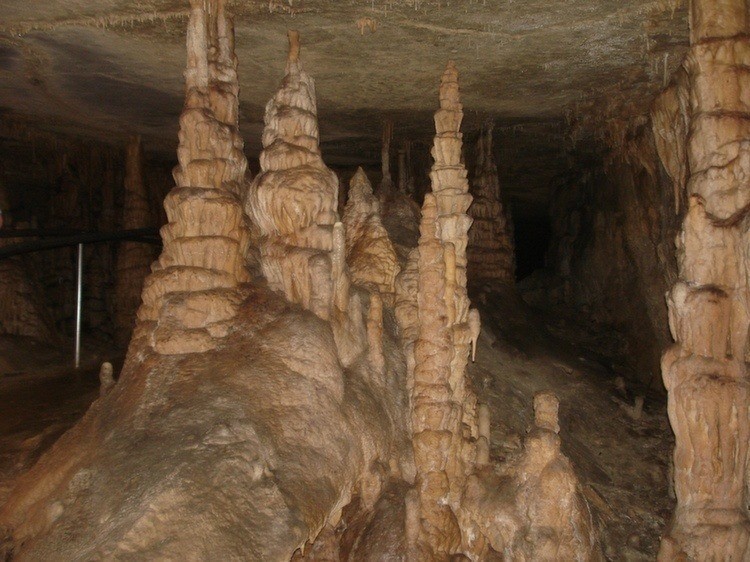 Unknown World Heritage Sites Mammoth