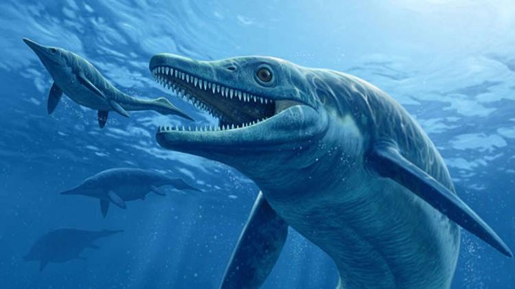 Thellato Terrifying Creatures