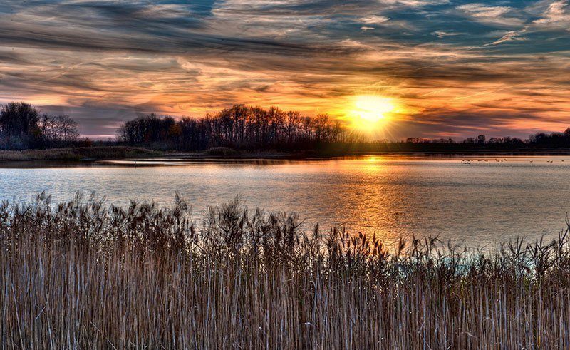 Bombay Hook Wildlife Reserve