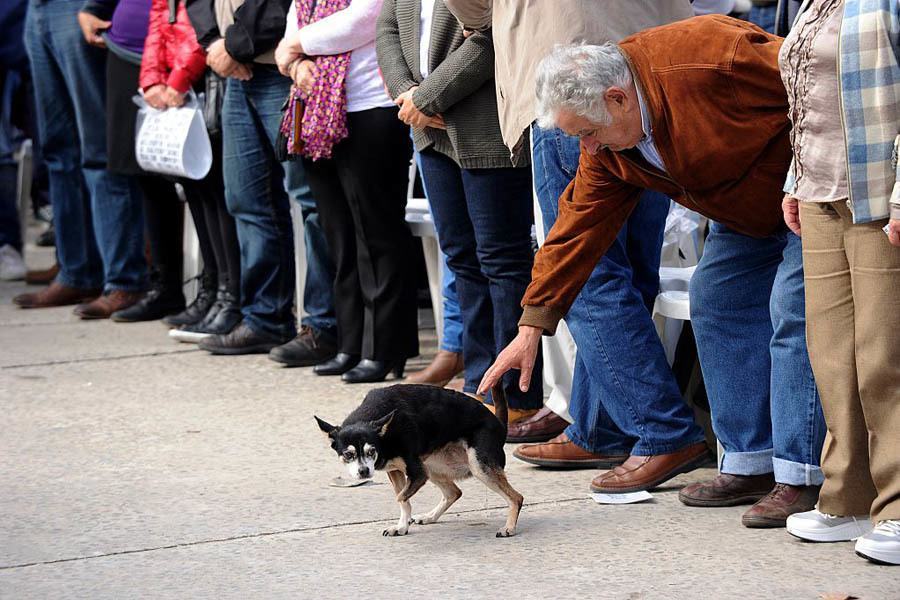 Jose Mujica Quotes On The Poor