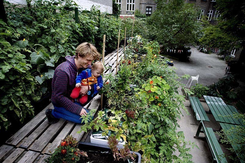 Greenest City Urban Farming