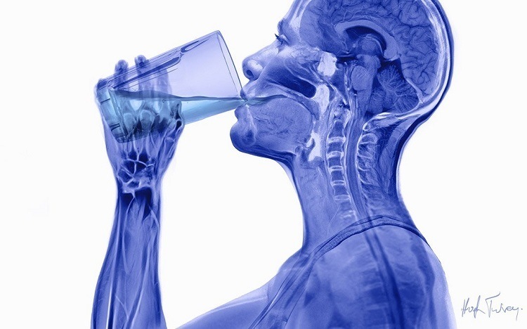 X-Ray Art