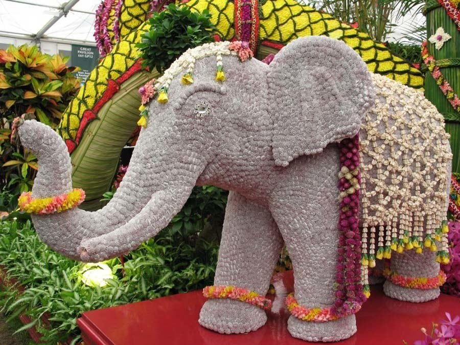 chelsea flower show elephant