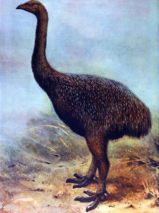 De-Extinction Moa