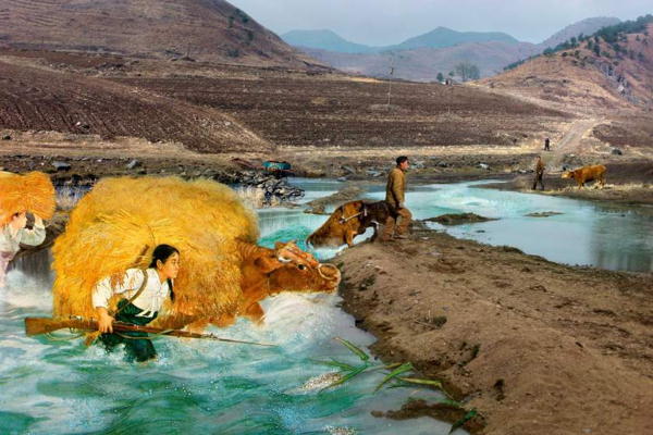 North Korea Hills Livestock