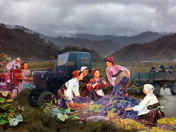 North Korea Truck Tractor