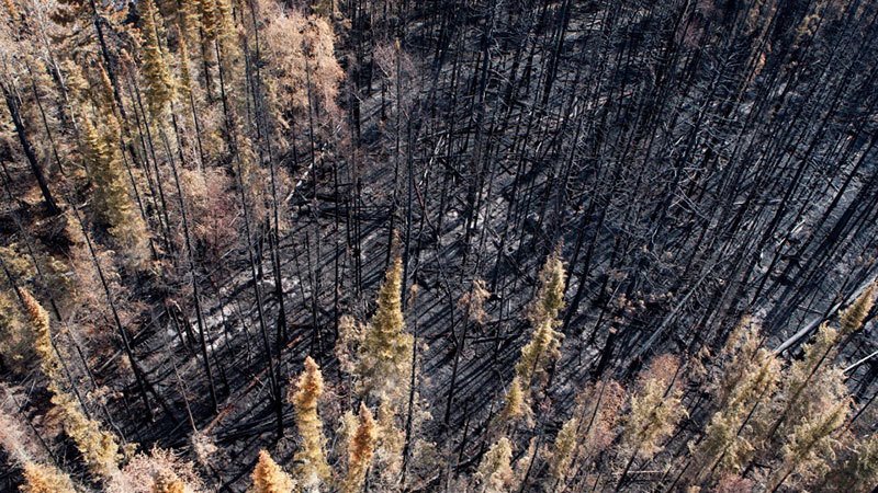 Summer Weather 2015 Northern Canada Wildfire