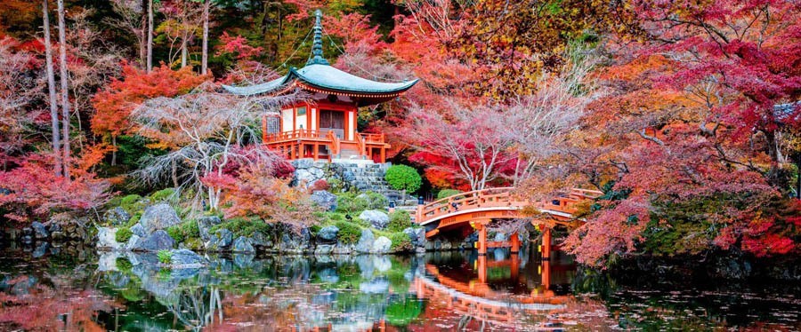 Colorful Kansai Japan Reflecting