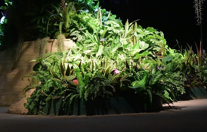 Lowline Corner Foliage