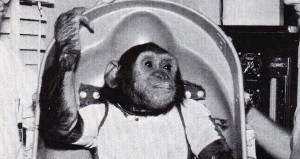 Enos Space Chimp Og