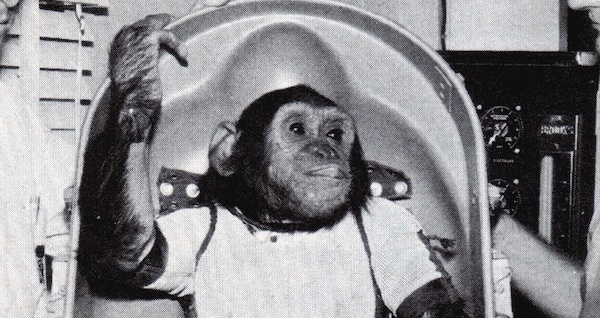 Enos Space Chimp Og