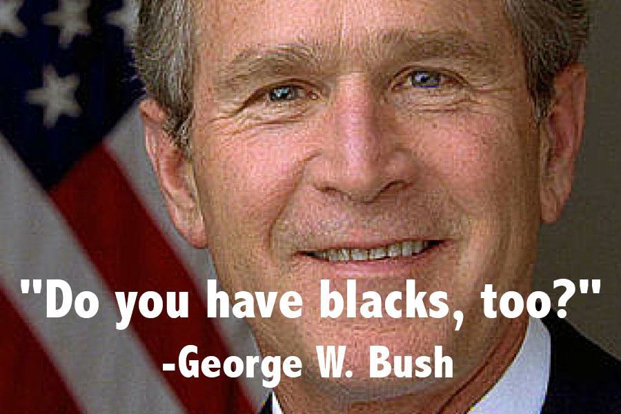 George W Bush Presidents