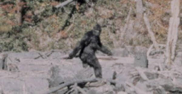 Bigfoot Walking