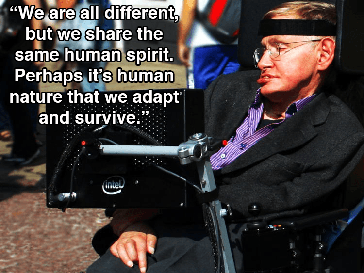 Hawking In Profile