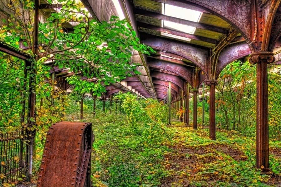 Places Reclaimed By Nature Central Railroad