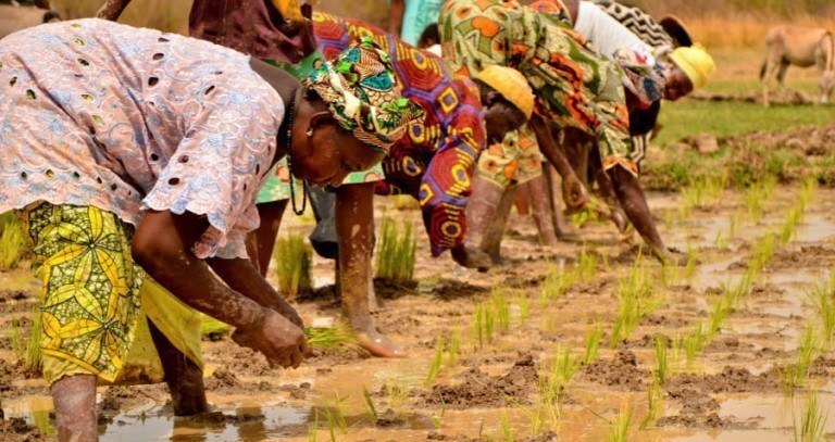 Peace Corps The Gambia