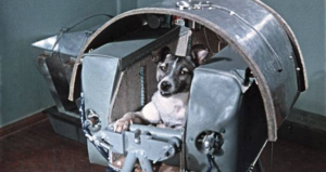 Laika Dog Featured