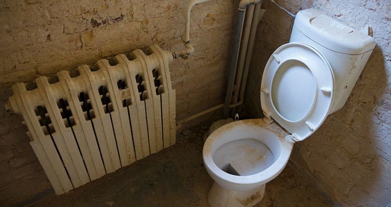 Dirty Toilet