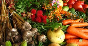 Organic Food Myths Produce
