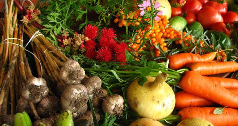 Organic Food Myths Produce