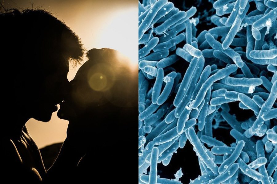 Kiss Bacteria
