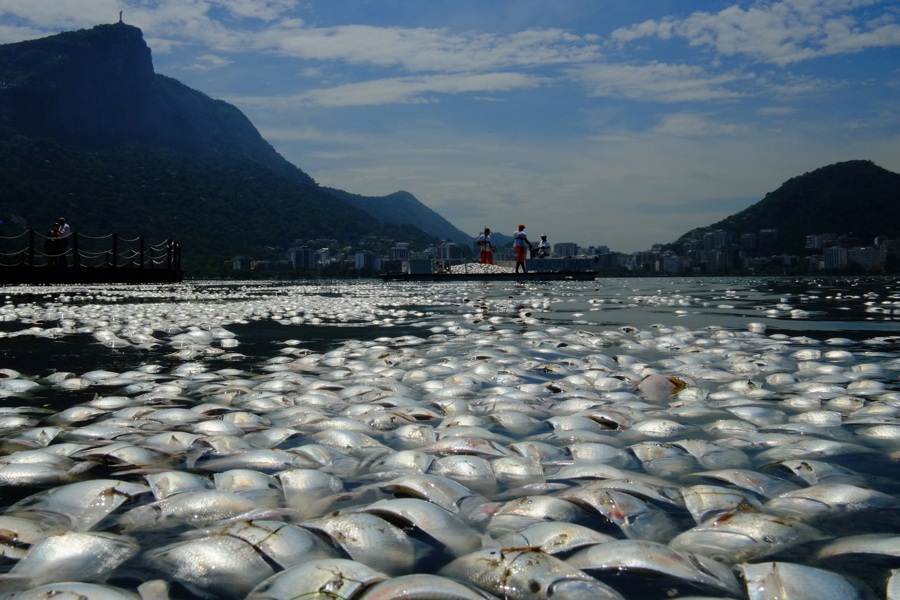Dead Fish Mountains