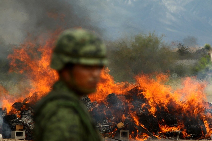Mexican Drug War