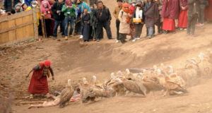 Sky Burial Vultures