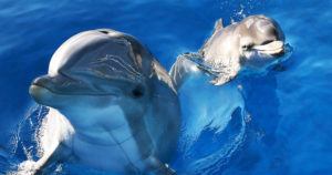 Gettyimages 463333207