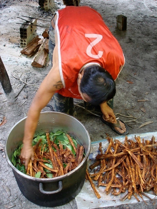 Man In Peruvian Amazon With Pot