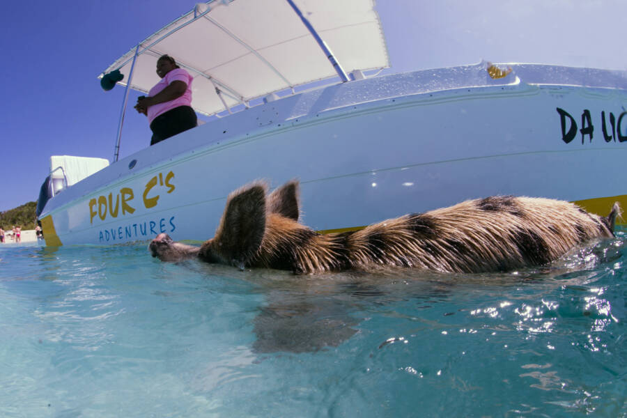 Bahamas Tour Boat