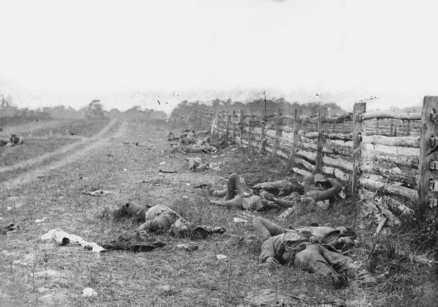 Bodies At Antietam During The Civil War