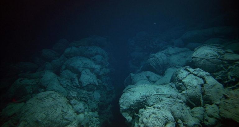 Ocean Floor