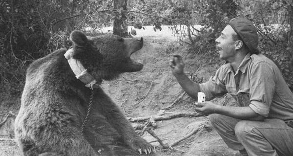 Wojtek Being Fed